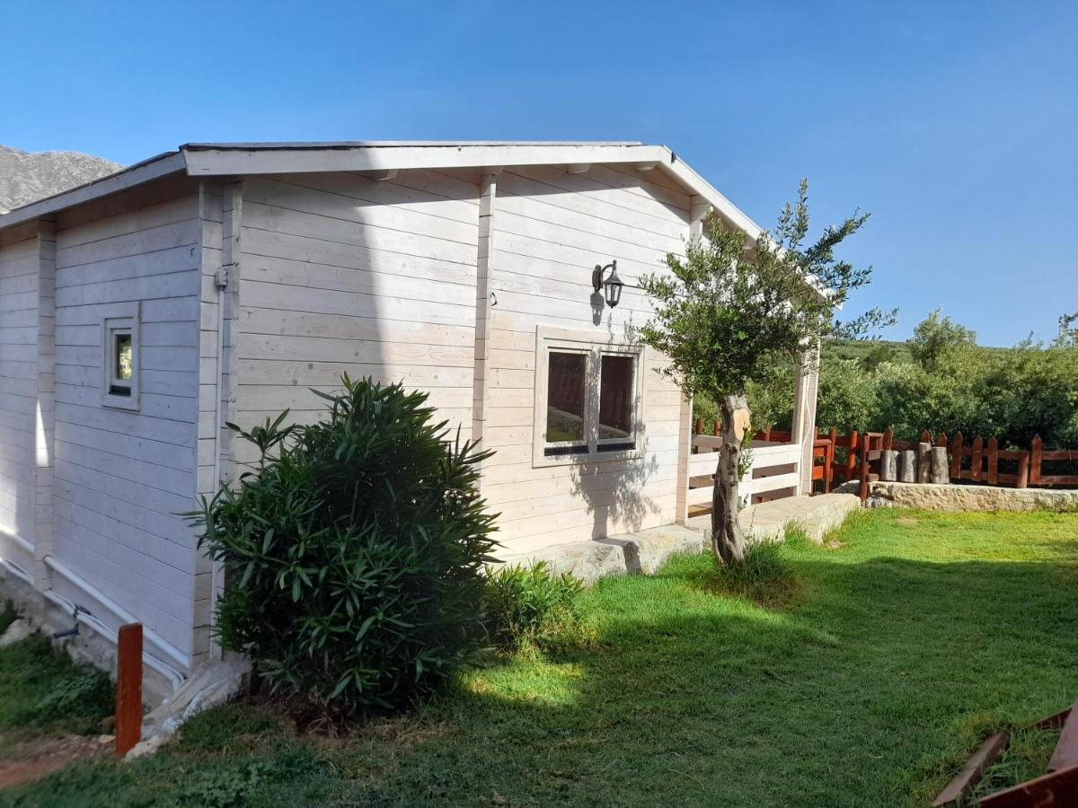Villa Evenos Of 3 Bedrooms - Irida Country House Of 2 Bedrooms With Private Pools 엘라포니시 외부 사진