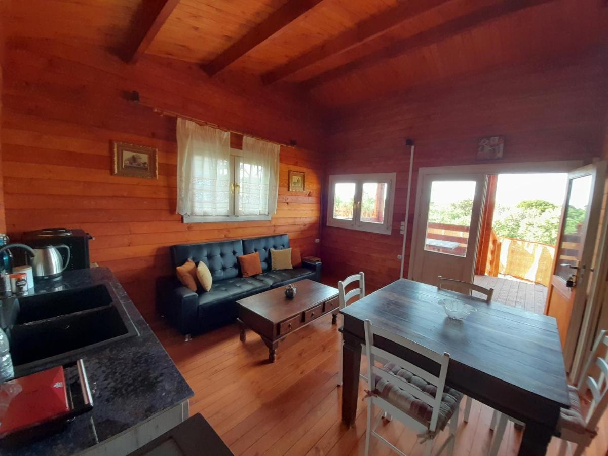 Villa Evenos Of 3 Bedrooms - Irida Country House Of 2 Bedrooms With Private Pools 엘라포니시 외부 사진